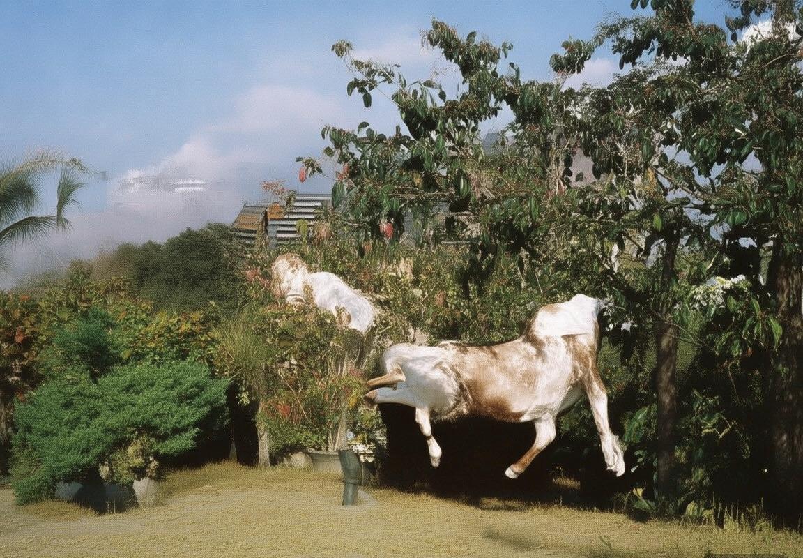 巴西英格兰足球经典对决：激情岁月，荣耀瞬间(图3)